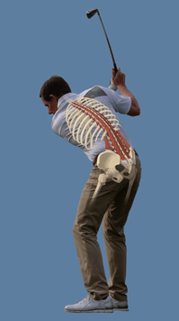 Why Do I Have Lower Back Pain After Playing Golf? - FitForever