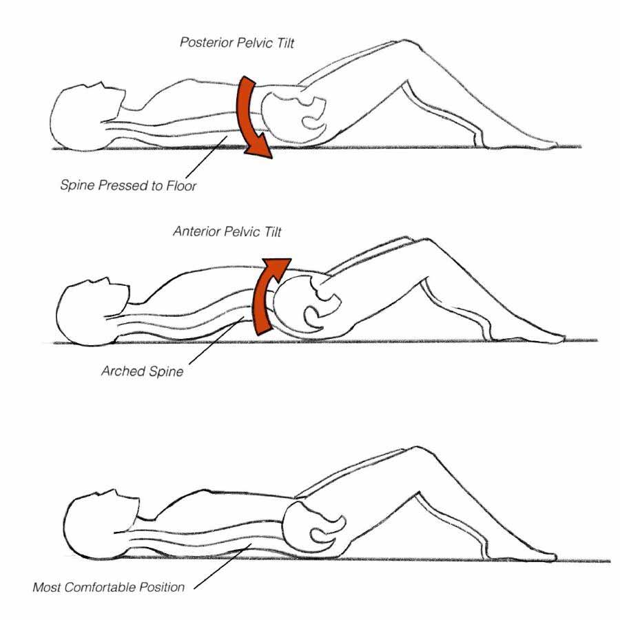 Perfect Posture: Avoid Low Back Pain, Find Your Neutral Spine Position