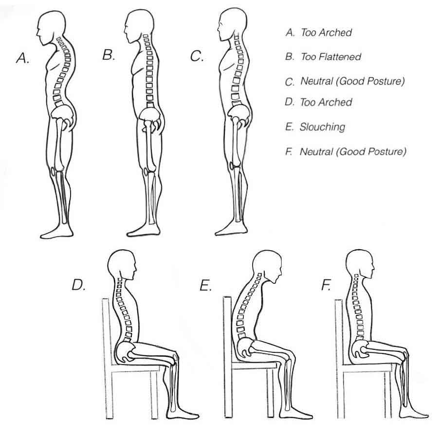 Where is neutral spine and why does it matter?